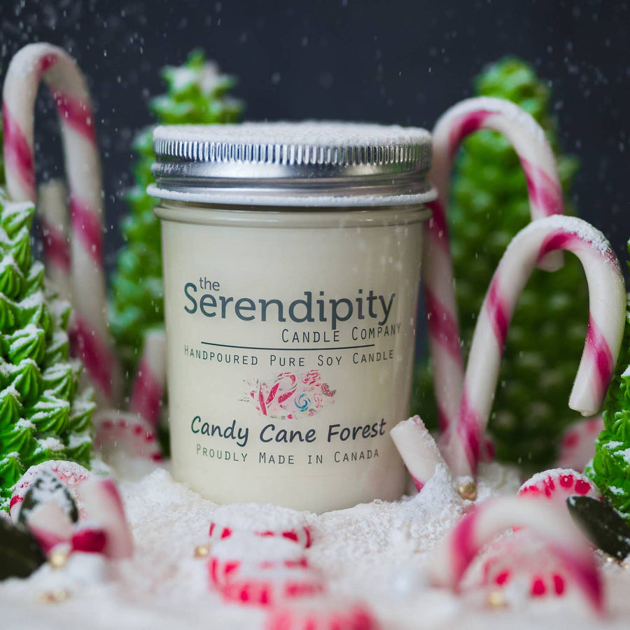 The Serendipity Soy Candle Company 8 oz Mason Jar Candle Candy Cane Forest