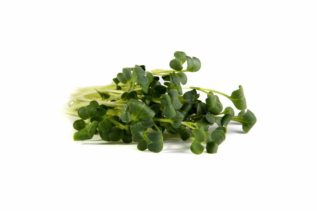 Mumm's Sprouting Seeds - Daikon Radish 100g