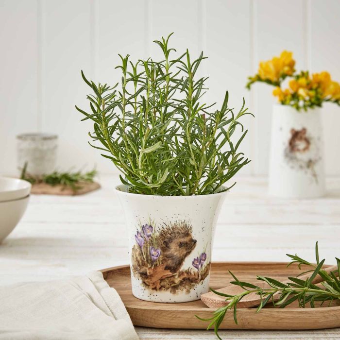 Wrendale Flower / Herb Pot 10CM