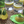 Load image into Gallery viewer, Dreamfarm Savel Clear Green - Bear Country Kitchen
