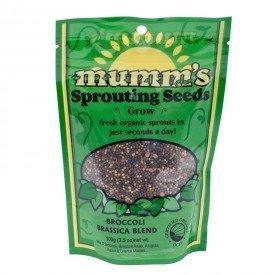 Mumm's Sprouting Seeds - Broccoli Brassica Blend - Bear Country Kitchen