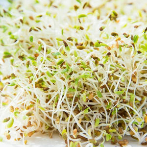 Mumm's Sprouting Seeds Alfalfa Seeds - Bear Country Kitchen