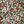 Load image into Gallery viewer, Sweetapolita Christmas Sprinkle Mix 3.5OZ
